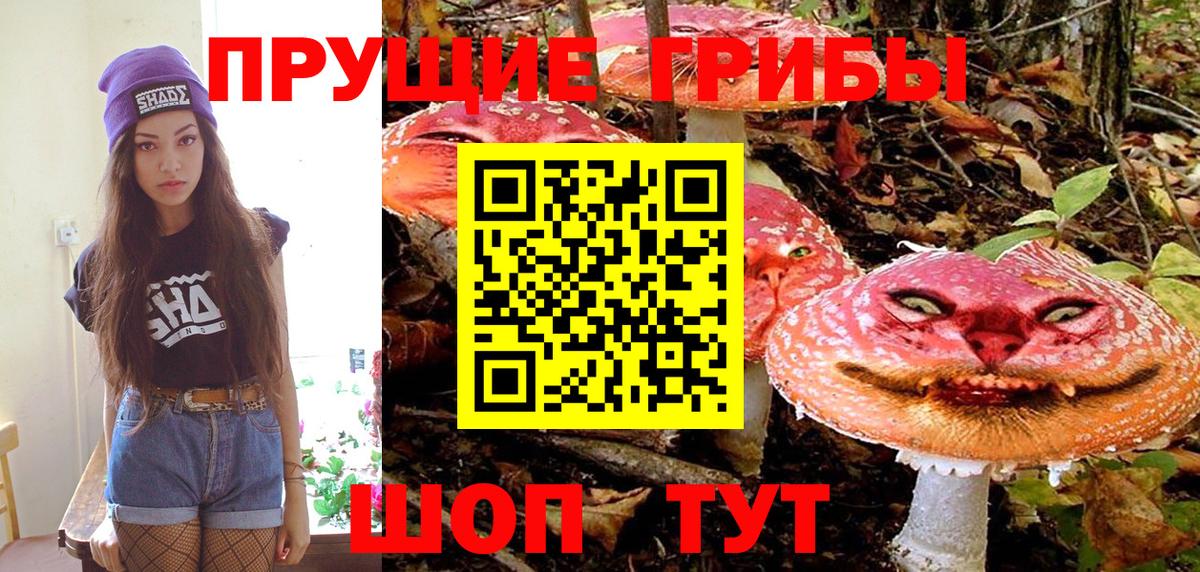 Галлюциногенные грибы Cubensis Лабытнанги