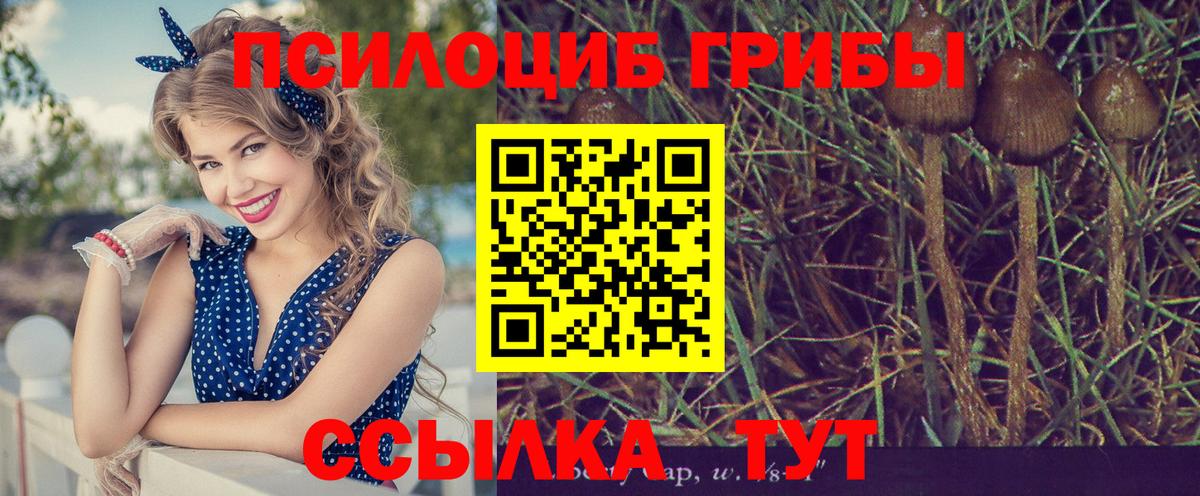 Лабытнанги  магазин продажи наркотиков  Вход с VPN  Галлюциногенные грибы ЛСД 